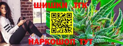 тгк Дубна