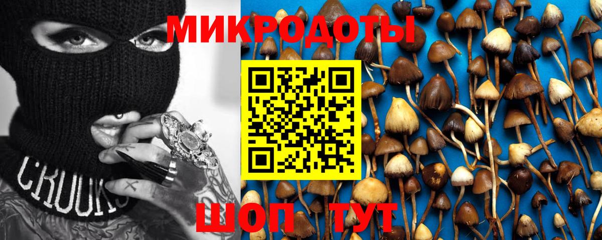 Набережные Челны  сколько стоит  Псилоцибиновые грибы Psilocybine cubensis  Вход с VPN  Псилоцибиновые грибы GOLDEN TEACHER 